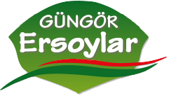 ersoylar-logo