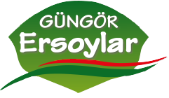 ersoylar-logo1